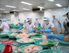 Pangasius exports to the UK market increased by 15.6% by middle of February